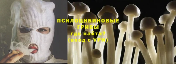амф Абаза